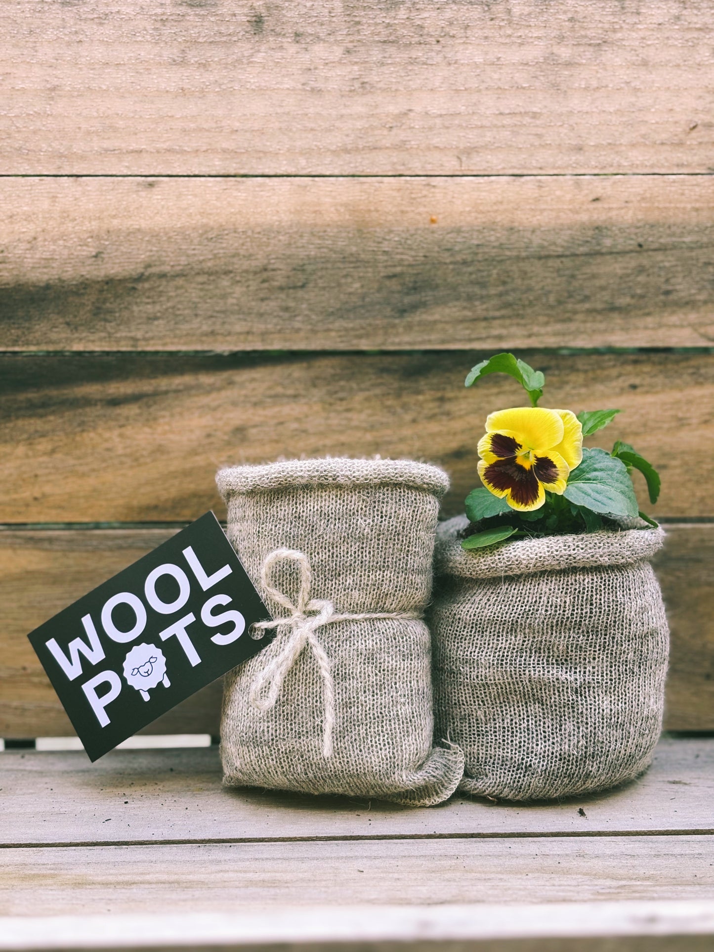 Pack of 10 Wool Pots