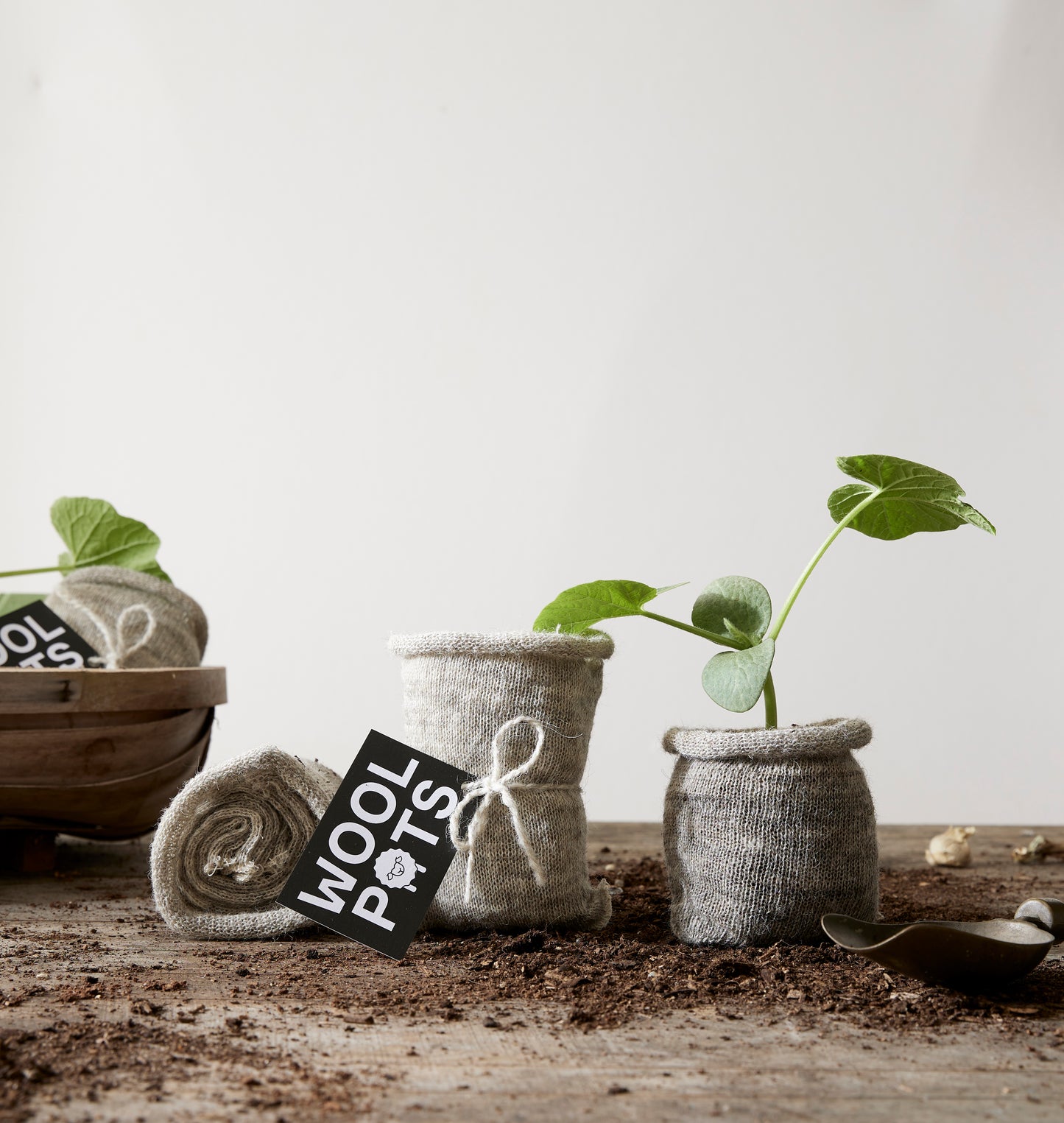 Pack of 10 Wool Pots