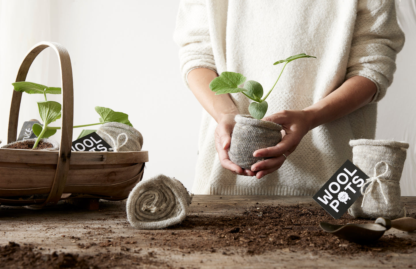Pack of 10 Wool Pots